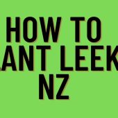 How-To-Plant-Leeks-NZ