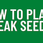 How-to-Plant-Teak-seeds