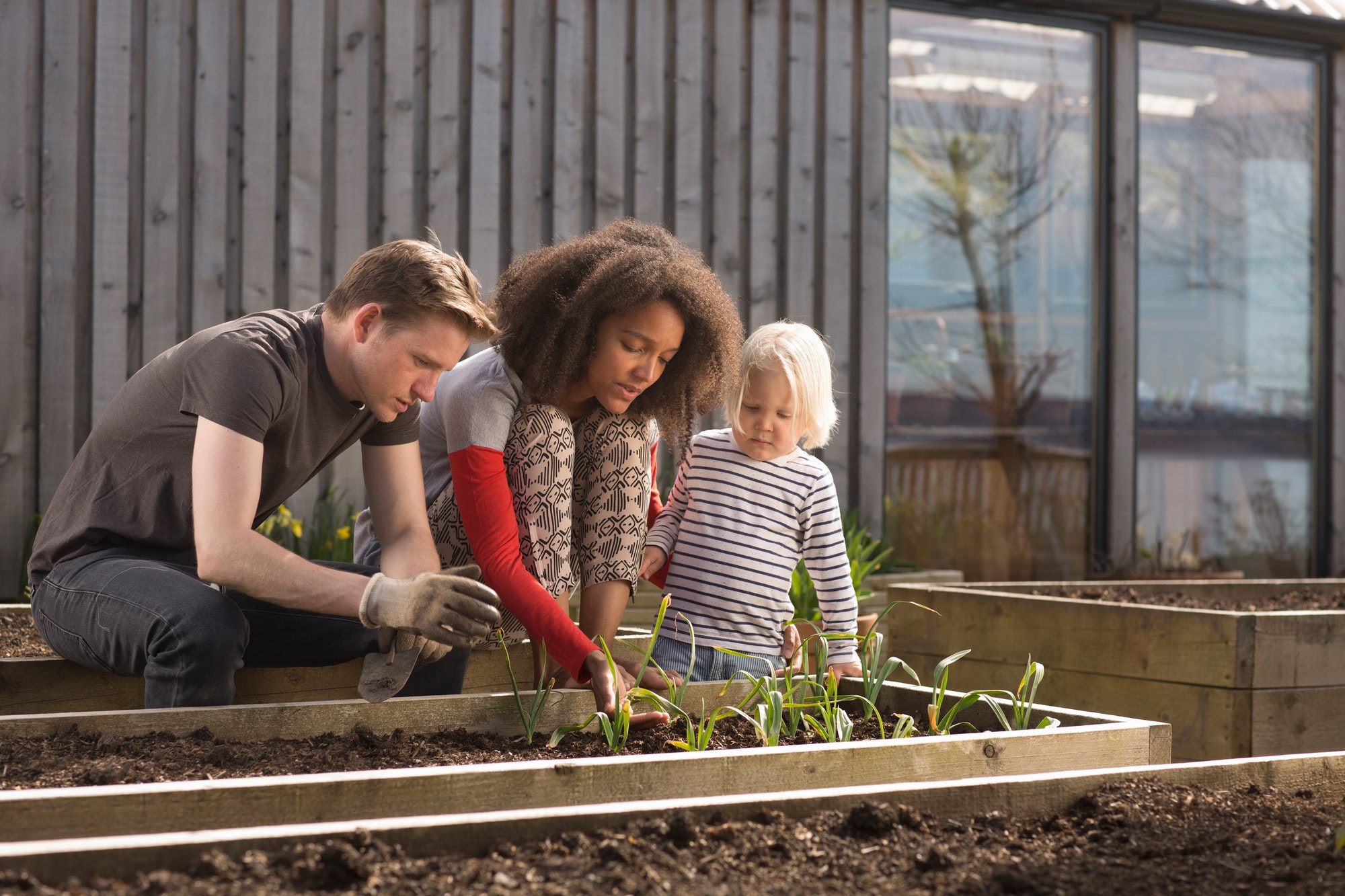 Boy and parents tending plants in raised bed
