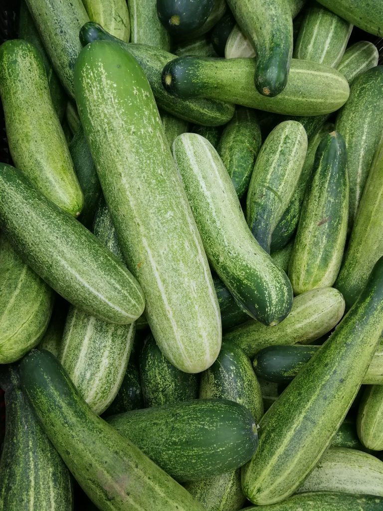 Plant-Cucumbers-In-Square-Foot-Garden