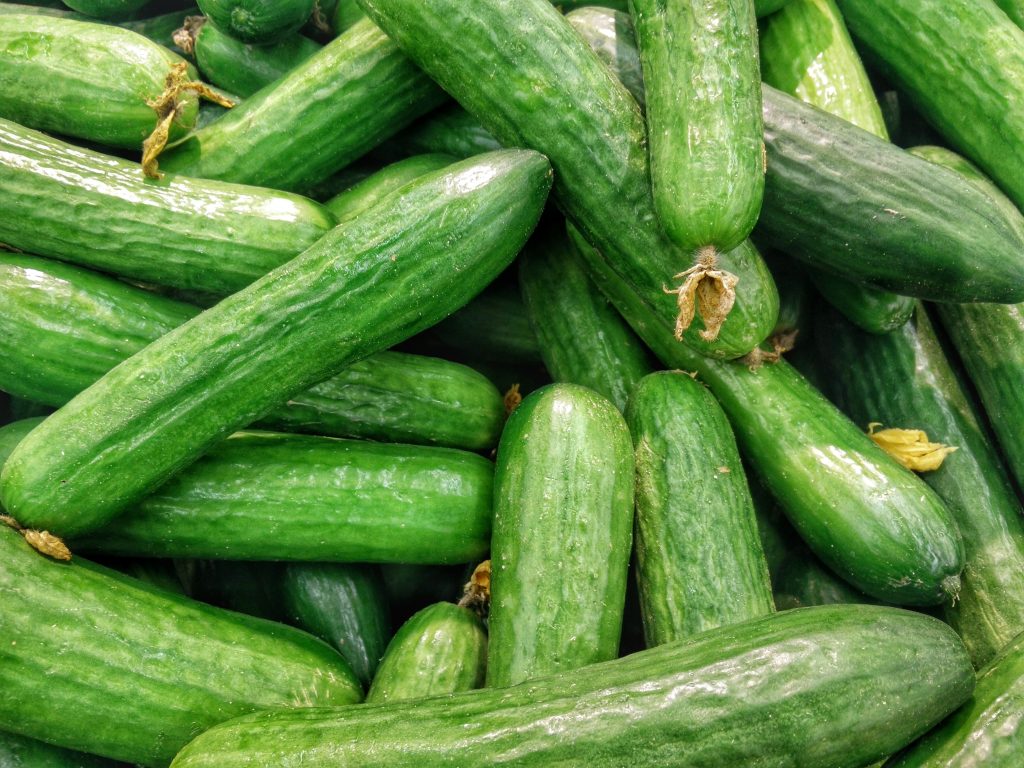 How-To-Plant-Cucumbers-In-Square-Foot-Garden-plant