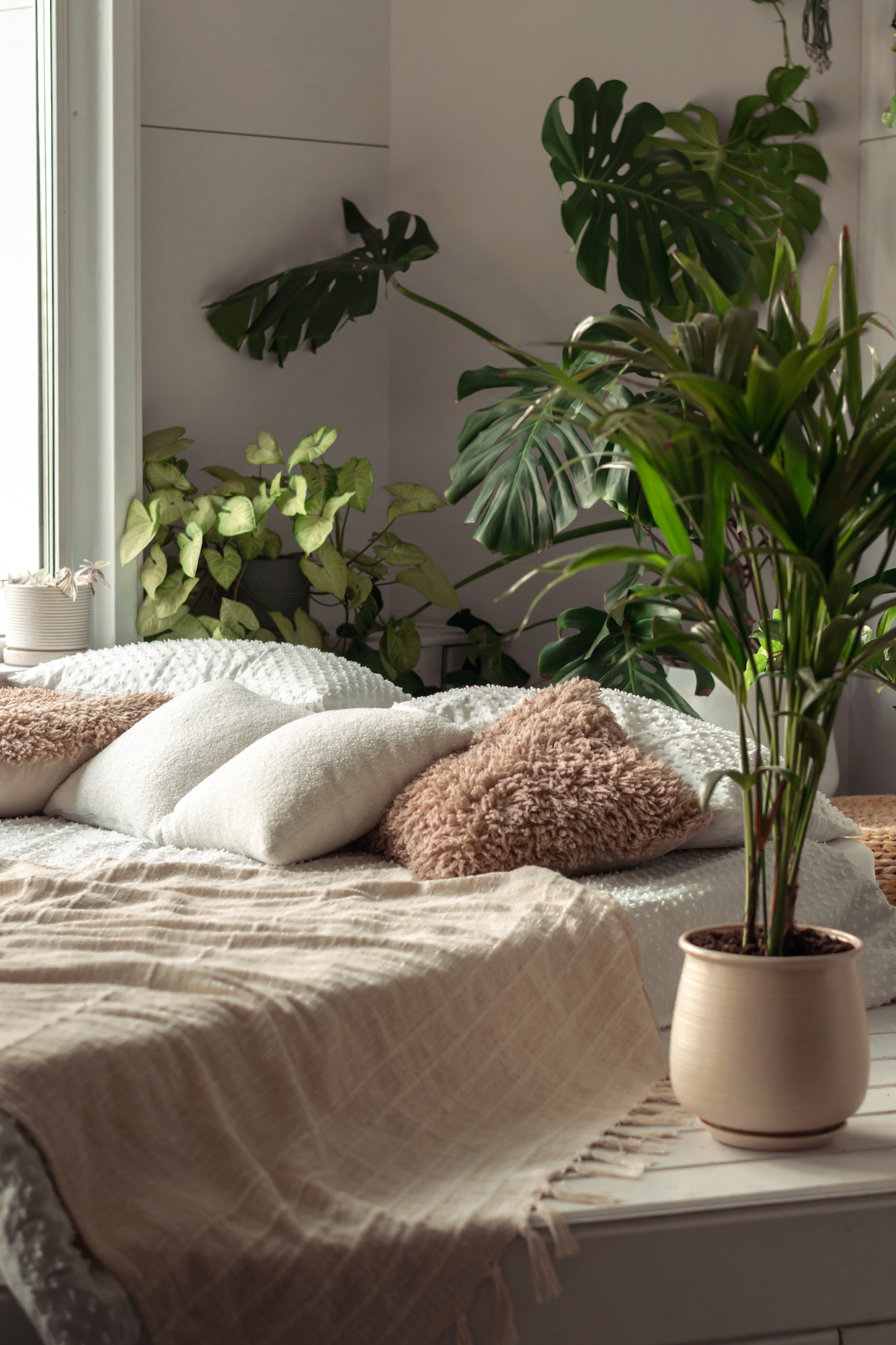 The interior of a bright bedroom with indoor plants.