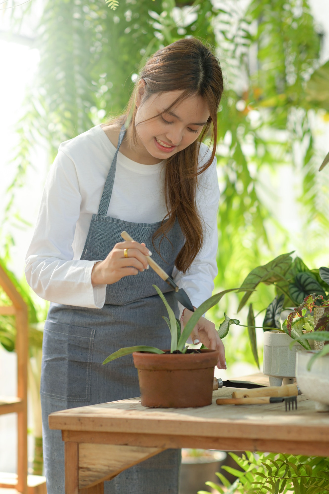 Young woman caring for trees in a greenhouse, planting trees, plant care equipment.