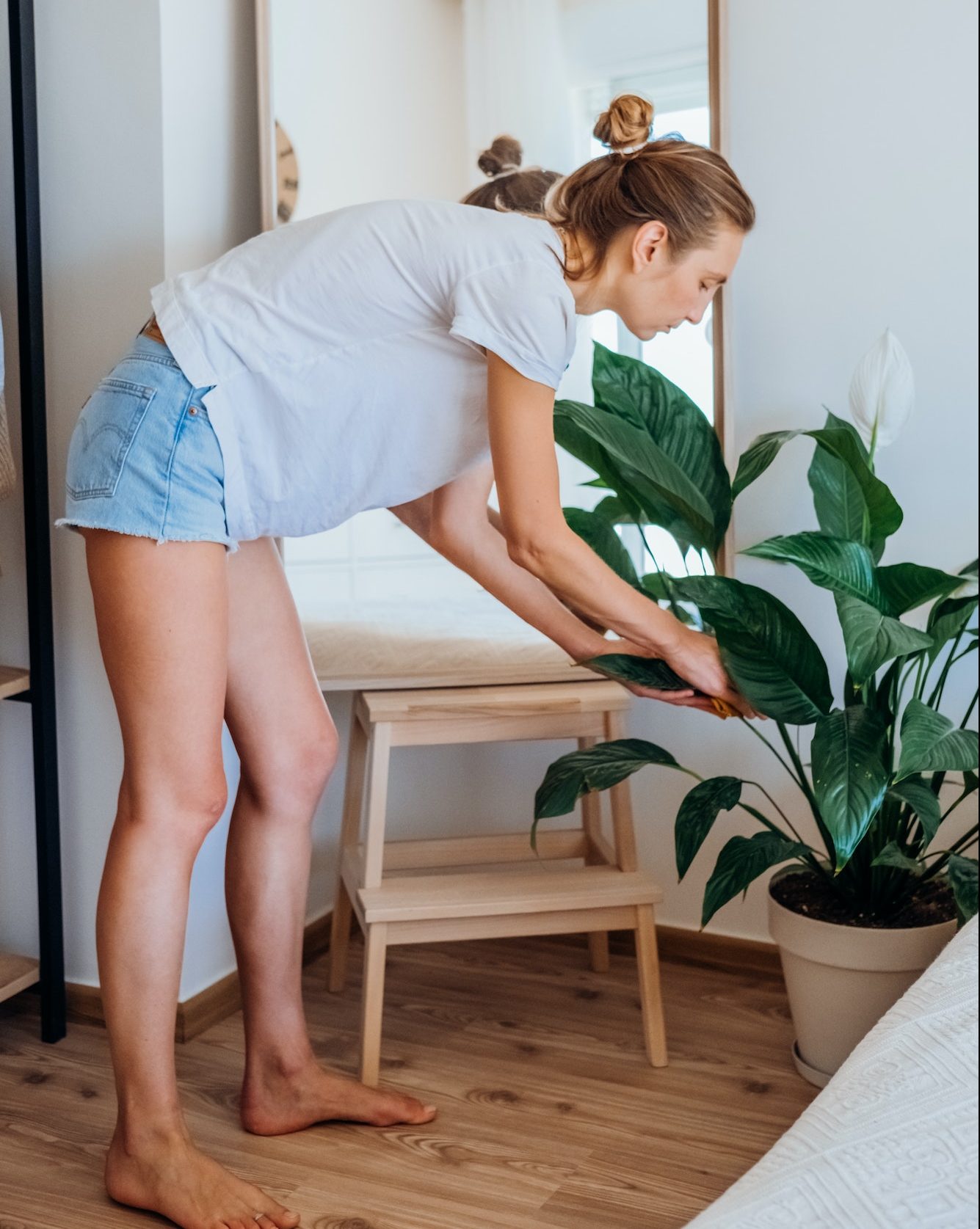 Young woman cleaning plant in bedroom. girl in casual clothes takes care of plants at home.