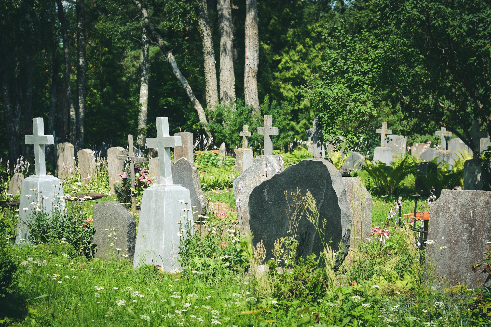 Graves with grave stones at a cemetery in summer. Granite crosses in the cemetery