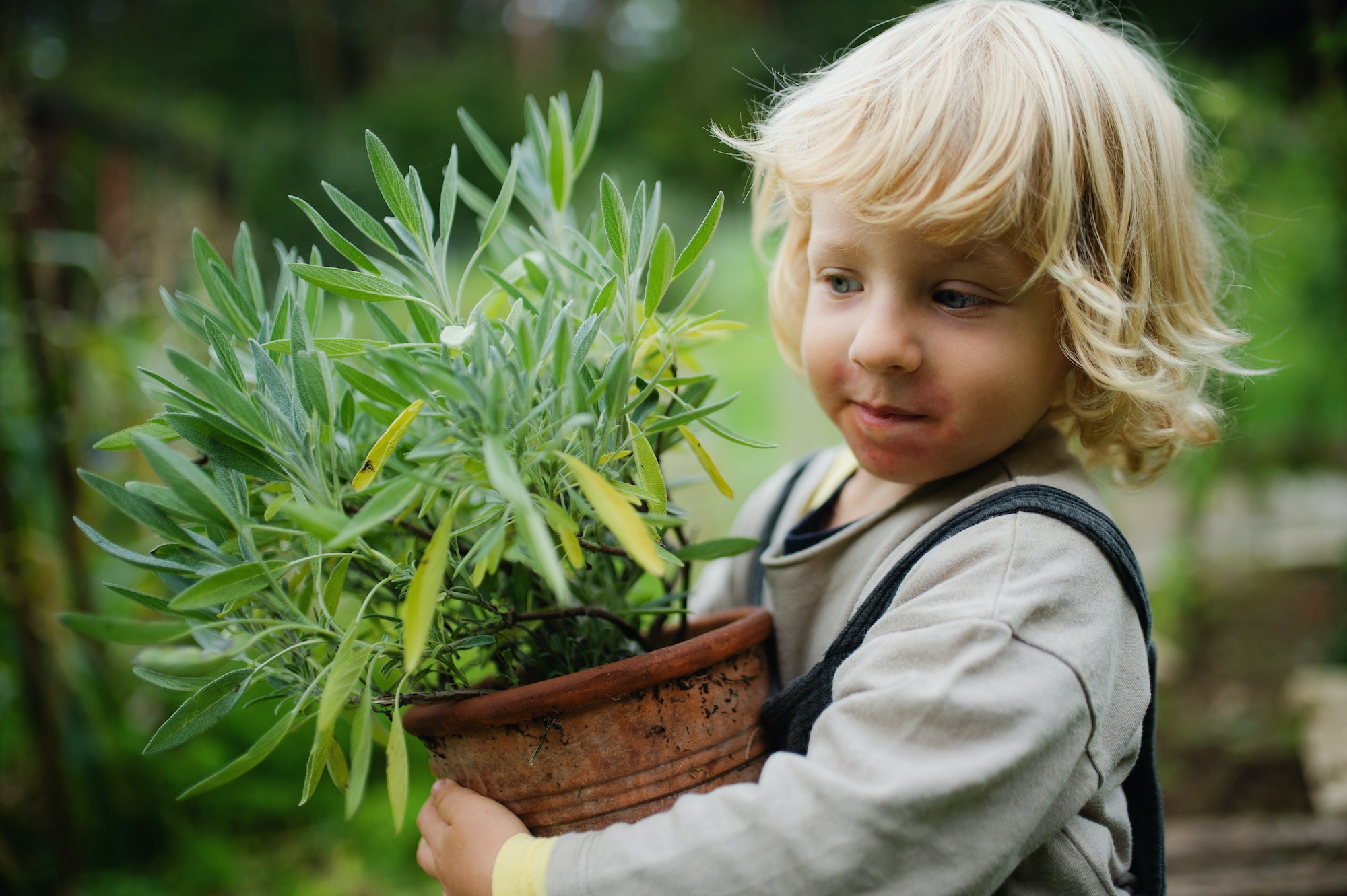 Portrait of small boy with eczema standing outdoors, holding potted plant