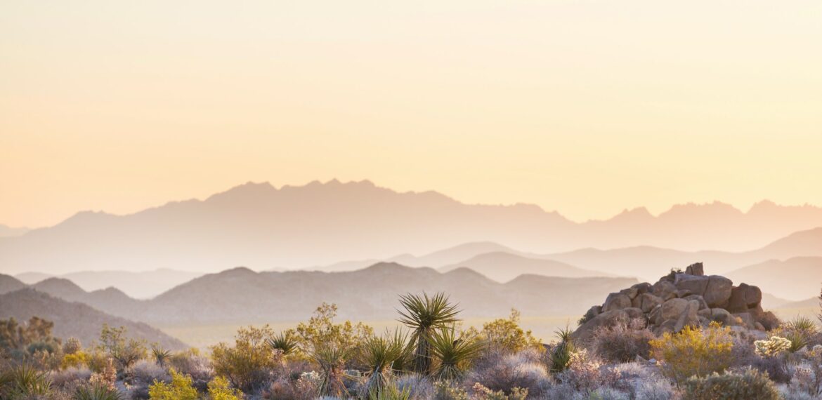 Arizona landscapes