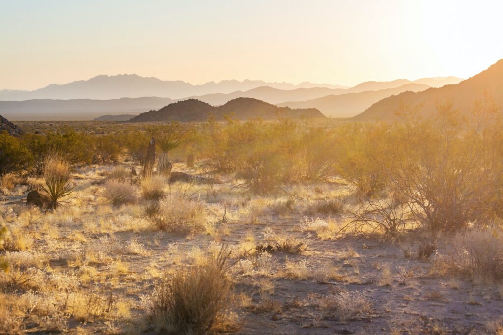 Arizona landscapes