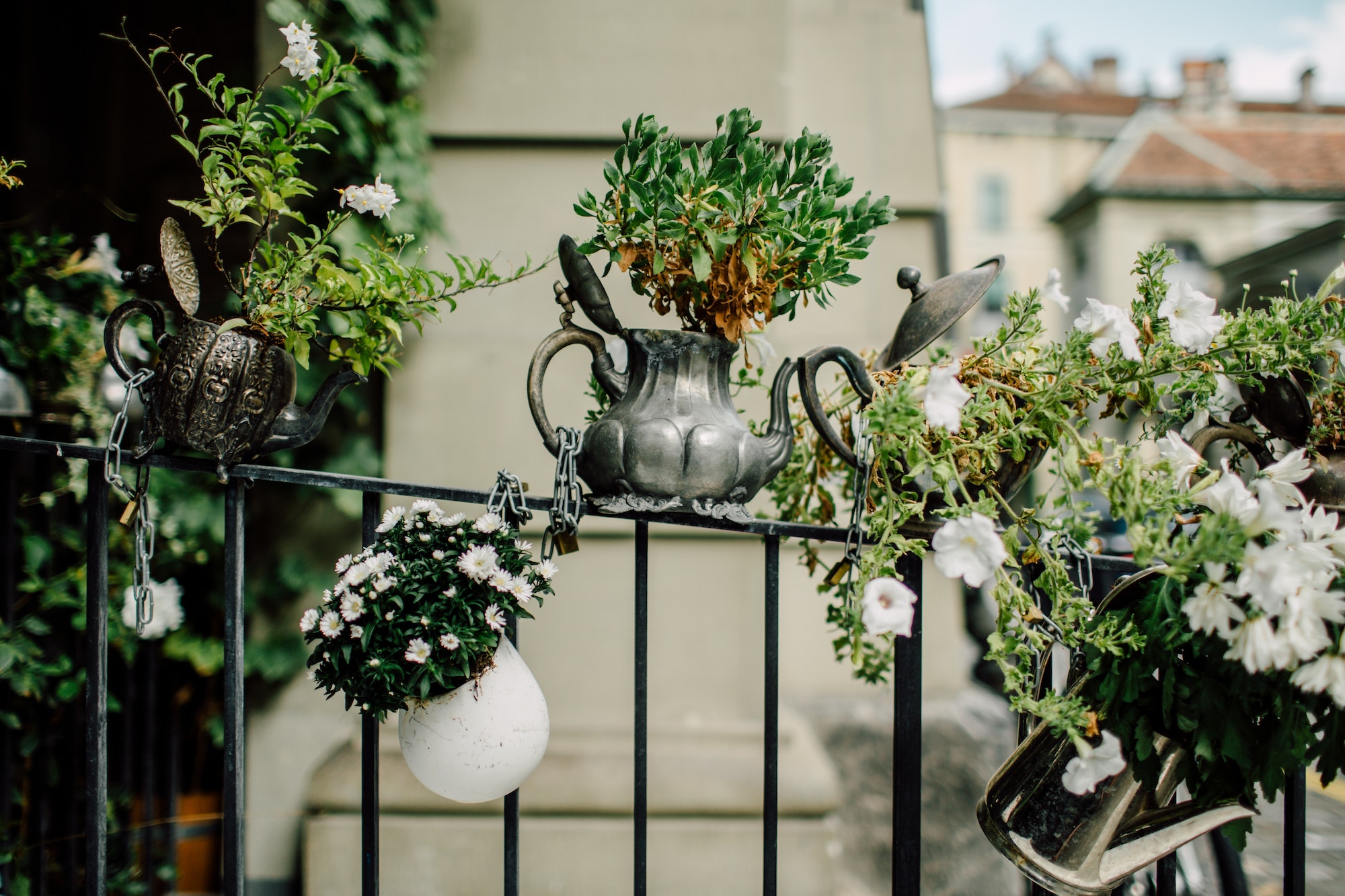 Flowers potted in teapots on a fence
