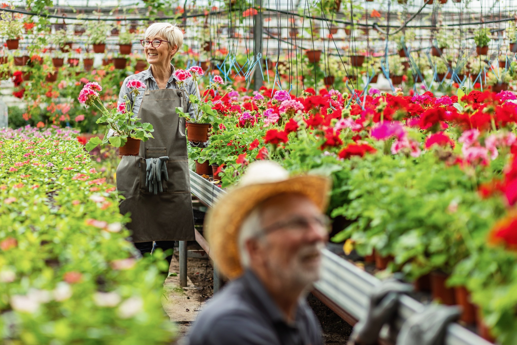 Happy mature woman with geranium flower walking through plant nursery.