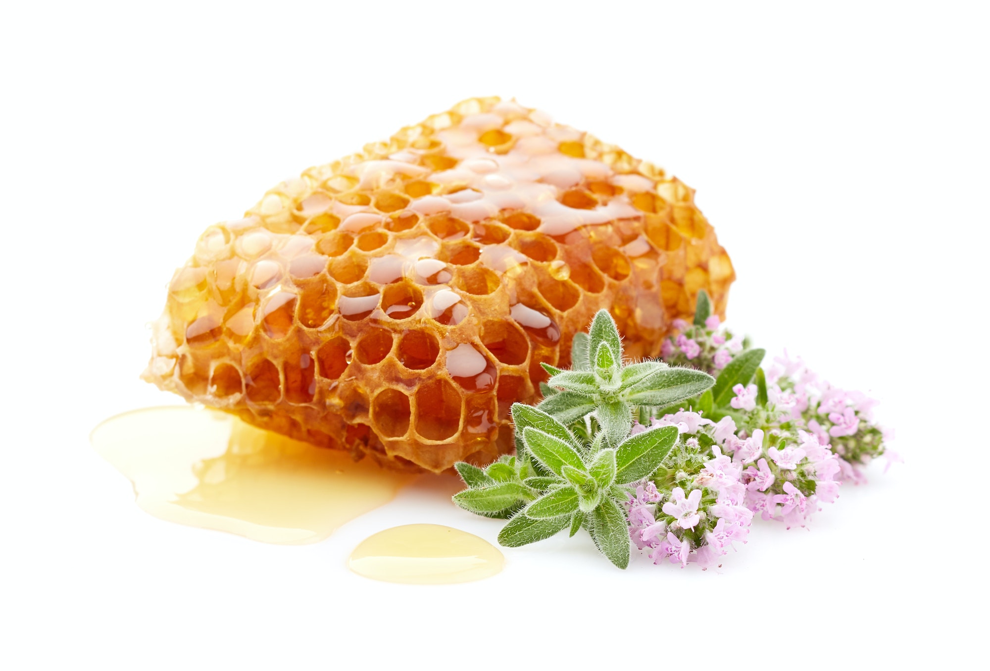 Honeycomb with thyme plant