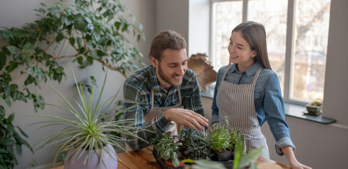 Man and a woman discussing the planting of succulents