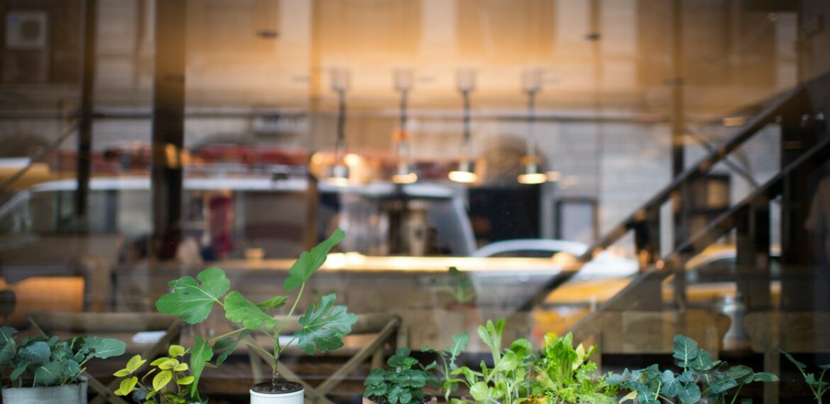 Plants and Restaurant Window