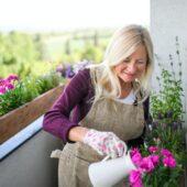 Senior woman gardening on balcony in summer, watering plants