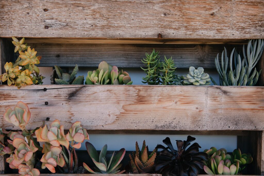 Vertical wooden planters with succulents on white wall with backyard bench and pillows