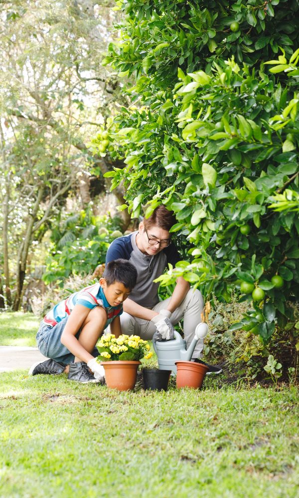 Happy asian father and son smiling, wearing gloves and planting plants together in garden
