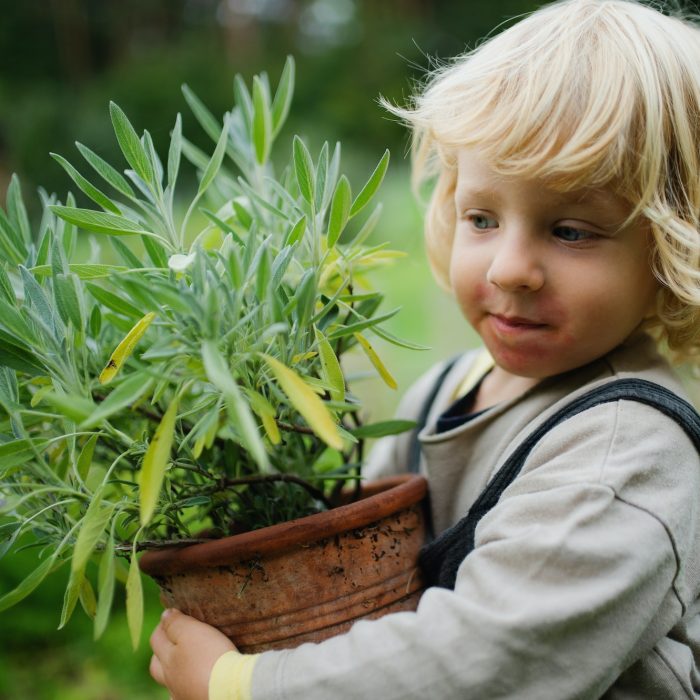 Portrait of small boy with eczema standing outdoors, holding potted plant