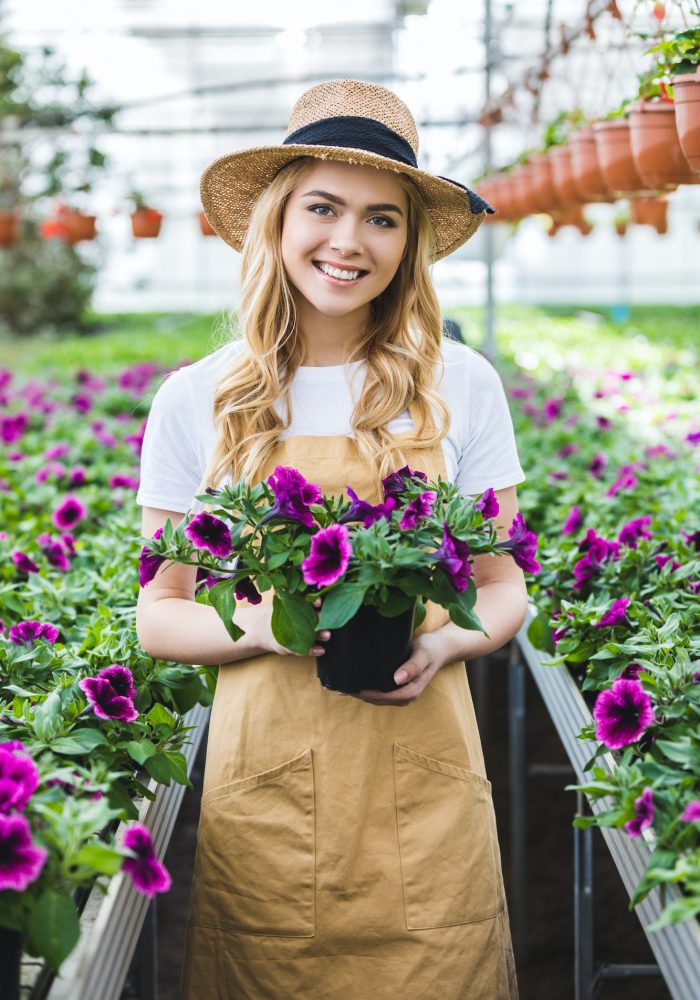 Smiling gardener holding pot with flowers in glasshouse