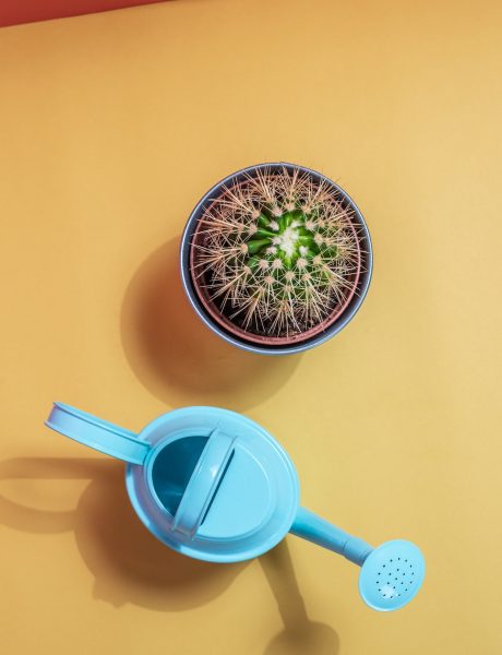 Watering can with cactus pot