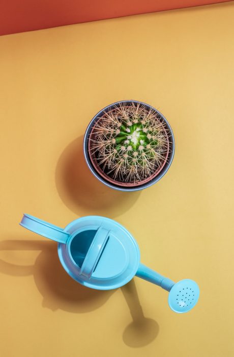 Watering can with cactus pot